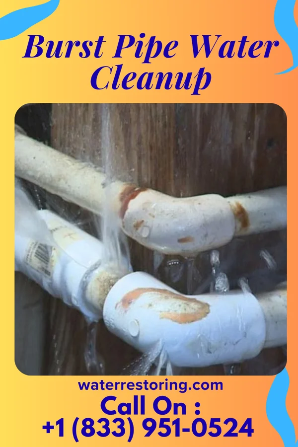 Burst Pipe Water Cleanup in West Ocean City, MD