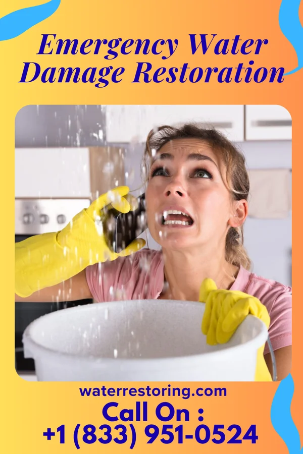 Emergency Water Damage Restoration in West Ocean City, MD