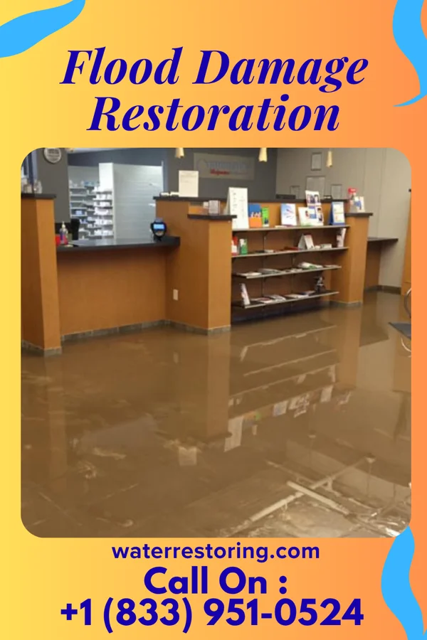 Flood Damage Restoration in West Ocean City, MD