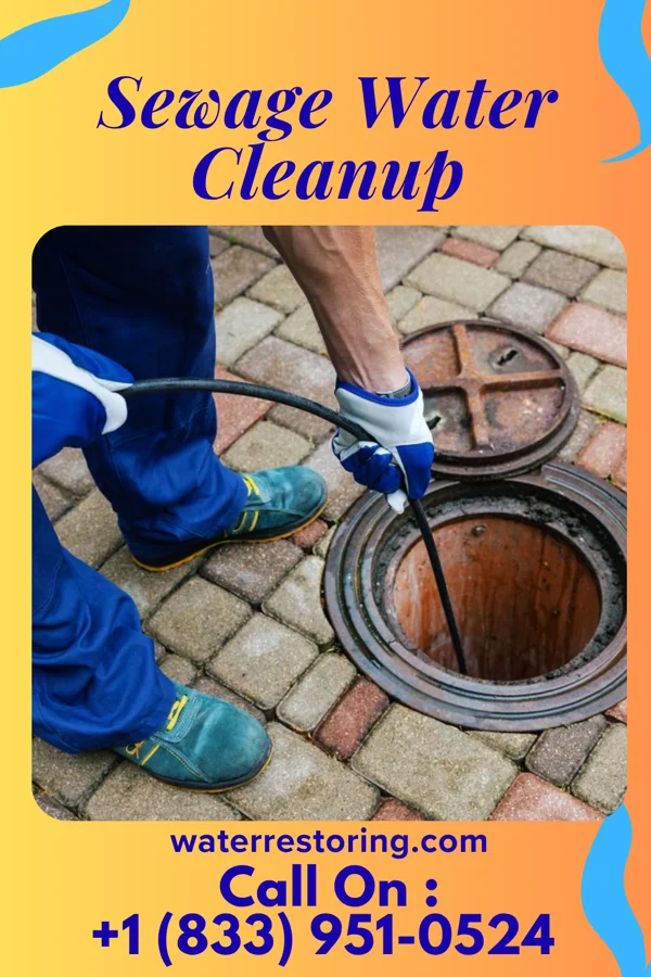 Sewage Water Cleanup in West Ocean City, MD