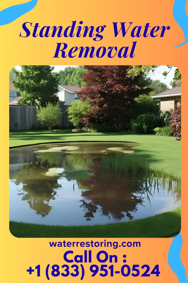 Standing Water Removal in West Ocean City, MD